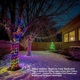 100 LED String Lights 33ft Multicolor, Plug in Fairy Lights with 8 Modes, Indoor Outdoor Christmas Lights for Tree | Lumora