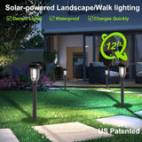 12 Pack Solar Lights Outdoor, Bright 6000K Cool White Solar Pathway Lights Waterproof Auto On/Off Powered,Landscape | Lumora