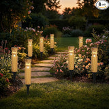 Solar Lights Outdoor 8 Pack, Wood-Grain Color Style, Warm Yellow Light, Waterproof Auto On/Off, Solar Pathway | Lumora