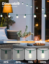 SUNSGNE G40 LED Round Christmas Lights Outdoor, 50FT Globe Christmas String Lights with 27 LED Frosted White | Lumora