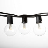 Hometown Evolution, Inc. 100 Foot G50 LED String Lights (LED G50 2 Inch 0.6 Watt Bulbs - Black Wire) for Patio | Lumora