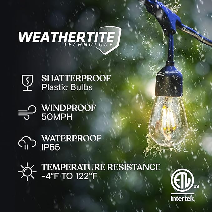 Brightech Bundle: Ambience Pro - Waterproof LED Outdoor String Lights - Hanging, Dimmable 1W Edison Bulbs, Soft White - 48 Ft + 6 Ft Extension Cord