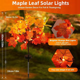 2Pack Fall Solar Lights Outdoor Waterproof,40LED 80 Maple Leaves Solar Garden Lights Outside, Autumn Artificial | Lumora