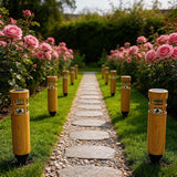 Solar Lights Outdoor 8 Pack, Wood-Grain Color Style, Warm Yellow Light, Waterproof Auto On/Off, Solar Pathway | Lumora