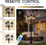 Emliviar 82.7" 3-Head Outdoor Solar Lamp Street Lights, Dusk to Dawn Post Lighting for Driveway Garden, LED | Lumora