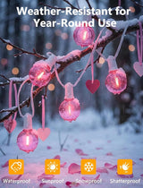 50Ft Valentine's Day Outdoor String Lights, G40 Valentines Day Decorations Lights with 27 LED Pink Shatterproof | Lumora