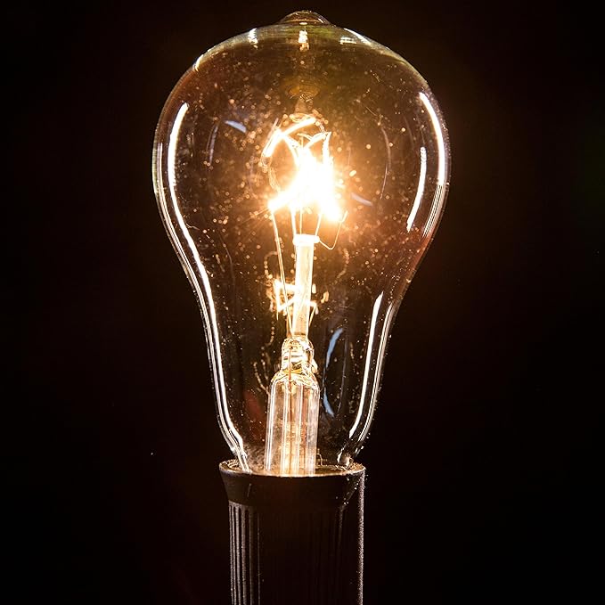 Hometown Evolution, Inc. Vintage Edison Outdoor String Lights (PS50 Clear - Black Wire, 100 ft) | Lumora