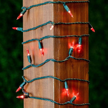 Novelty Lights Vintage Style T5 Red LED Christmas Lights, 35 Feet Green Wire String of 70 Mini Bulbs, UL Listed Indoor/Outdoor Tree Lighting