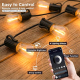 100FT S11 LED Outdoor String Lights with App & Remote, Low-Voltage Patio Lights with Music Sync, 4 Lighting Modes | Lumora