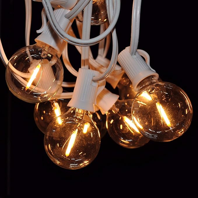 Hometown Evolution, Inc. LED Warm White Outdoor Patio String Lights (10 ft, LED Filament G50 Clear - White Wire - 2" .6 Watt Bulbs)