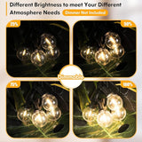 100FT LED Outdoor String Lights Patio Light with 52 Shatterproof G40 Dimmable Globe Bulb, 2-Pack 50FT Waterproof | Lumora