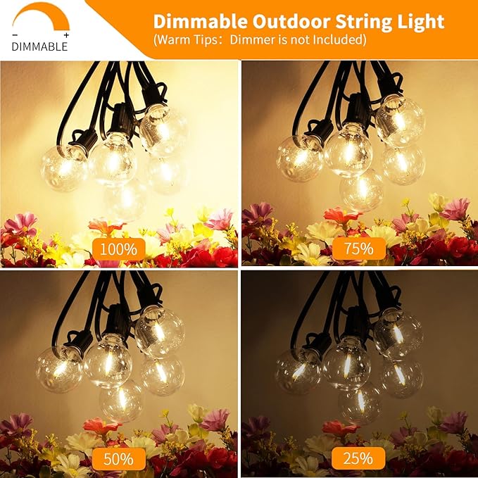 Svater Outdoor String Lights 100FT with 50 Pack Replacement Bulbs | Lumora
