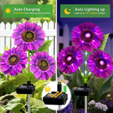 ANGMLN Solar Lights Outdoor Garden Decor, 5 Pack with 15 Purple Sunflower Lights, Solar Flowers Waterproof | Lumora