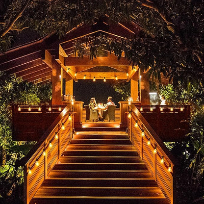 Mlambert 200Ft(2x100Ft) LED Outdoor String Lights Waterproof Dimmable G40 Globe Patio Lights with 100+5 Bulbs for Balcony Gazebo Pergola-Black Cord