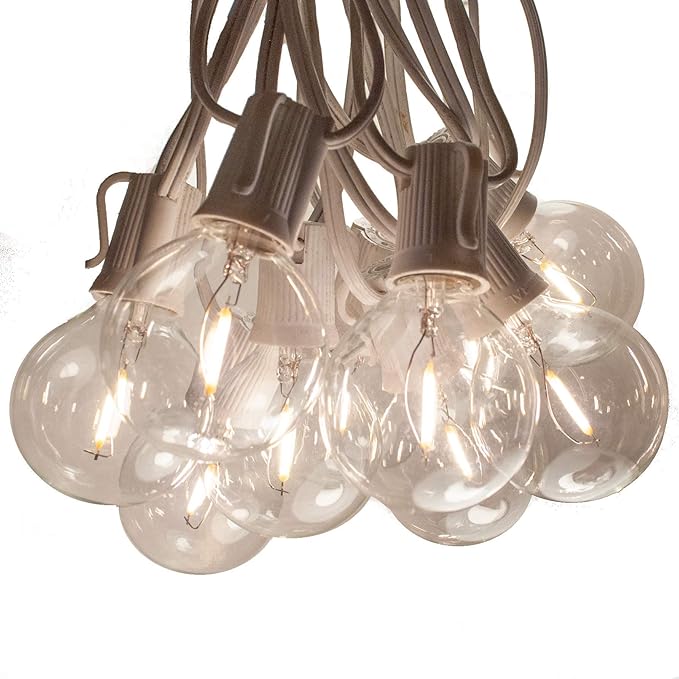 Hometown Evolution, Inc. G50 2" LED Filament Outdoor Patio String Lights with 0.6 Watt Light Bulbs (G50 LED - White Wire, 50 ft)