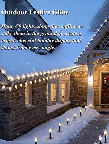 25ft Warm White Christmas Lights Outdoor,Frosted White Christmas Lights with 26 Incandescent Bulbs(1 Spare),Hanging Vintage Christmas Light for Patio Holidays Christmas Tree Decor
