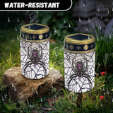 Garden Stake Light, Spider - Halloween Solar Lights for Cemetery Grave,Solar Pathway Lights Outdoor,Lawn Yard Patio | Lumora