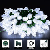 ZAIYW C9 Christmas String Lights 66ft 100 LED Strawberry Lights UL Plug C9 String Lights Green Wire Waterproof for | Lumora