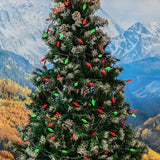 Novelty Lights 24FT 70 LED C6 LED Christmas Light String, Outdoor Christmas Tree Permanent Commercial Grade | Lumora