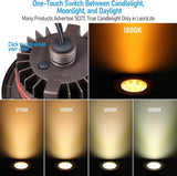 LEONLITE Dia. 4 Inch 5CCT Well Lights Landscape LED In Ground, 5 Color Temperature Selectable, 12-24V AC/DC CRI90 | Lumora