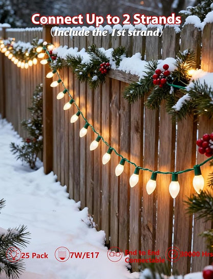25ft Warm White Christmas Lights Outdoor,Frosted White Christmas Lights with 26 Incandescent Bulbs(1 Spare),Hanging Vintage Christmas Light for Patio Holidays Christmas Tree Decor