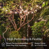 Brightech Glow LED String Lights - 26 Ft Commercial Grade Patio Lights with Brass Accents - Outdoor Waterproof | Lumora