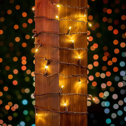 Novelty Lights 12-Pack CASE 50ft 100 LED Warm White Christmas String Lights, 6" Spacing on Brown Wire, UL Listed IP55 Commercial Grade Xmas Lights for Outdoor/Indoor, Dimmable, Connectable