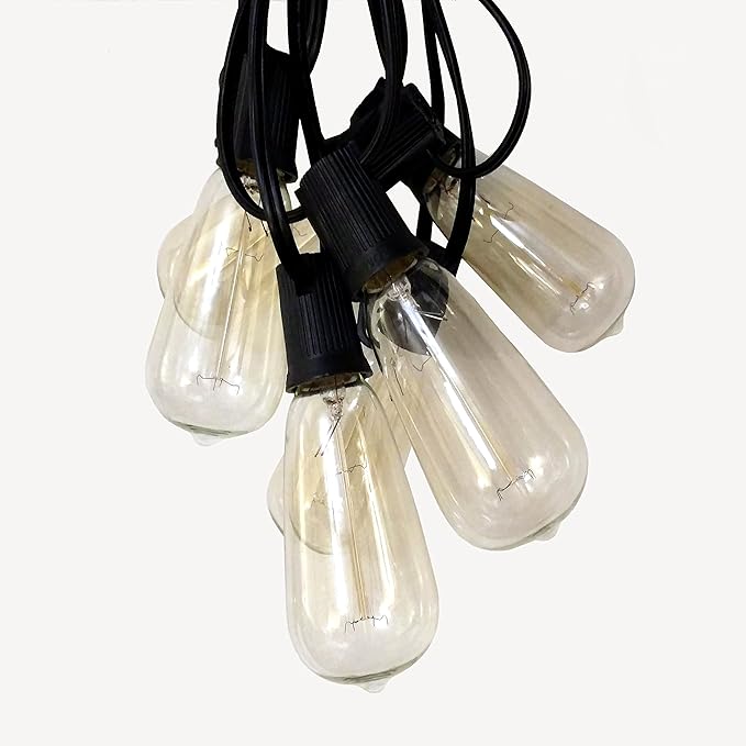 Hometown Evolution, Inc. Edison Bulb Outdoor String Lights with Hand-Threaded Filament (ST40 Lantern Edison - Black Wire, 10 ft)