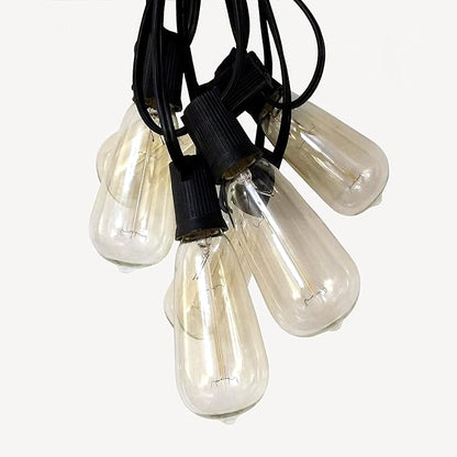 Hometown Evolution, Inc. Edison Bulb Outdoor String Lights with Hand-Threaded Filament (ST40 Lantern Edison - Black Wire, 10 ft)