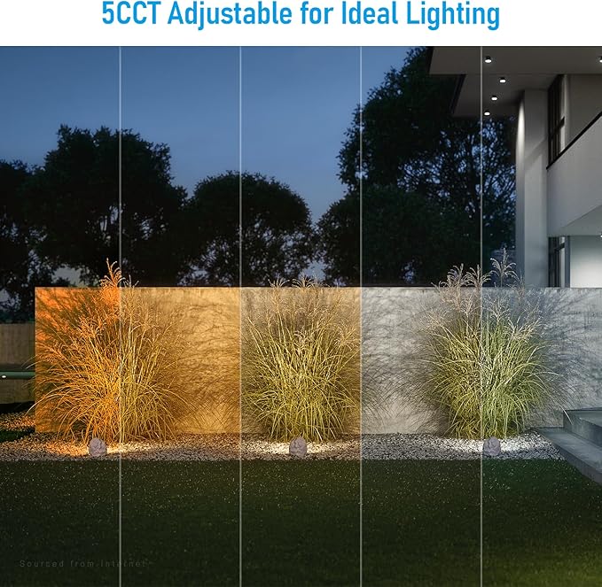 LEONLITE 5CCT LED Rock Lights Outdoor, 5W Low Voltage Landscape Spotlight for Garden, Yard, Decorative Stone Light | Lumora