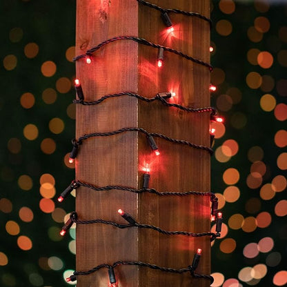 Novelty Lights 25ft Christmas String Lights, 50 Red LED Bulbs on Black Wire, 6" Spacing, Connectable Indoor Outdoor Commercial Grade Lighting for Holidays Patio Weddings
