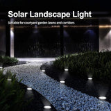 Aogist 12 Pack Solar Disk Lights - 8 LED In-Ground Outdoor Landscape Lights for Pathway, Yard, Walkway, Patio, Lawn | Lumora