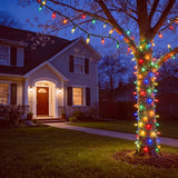 100 LED Multicolor Christmas Lights, UL Listed and Commercial Grade 35 Ft Green Wire String Lights, for Indoor and | Lumora
