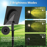 T-SUNUS Solar Christmas Spotlight Outdoor Warm White 3000K, 4-in-1 Spot Lights IP65 Waterproof 9.8ft Cable 5W | Lumora