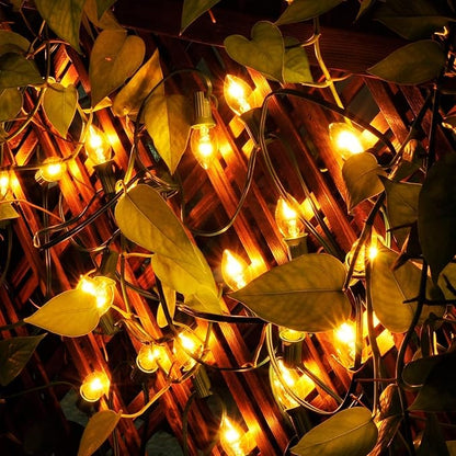 C7 Christmas Lights, 25Ft Outdoor Clear Christmas String Lights with 27 Clear Warm White Incandescent Bulbs, Vintage Christmas Lights for Roofline Patio Christma Cafe Party Decorations, Green Wire
