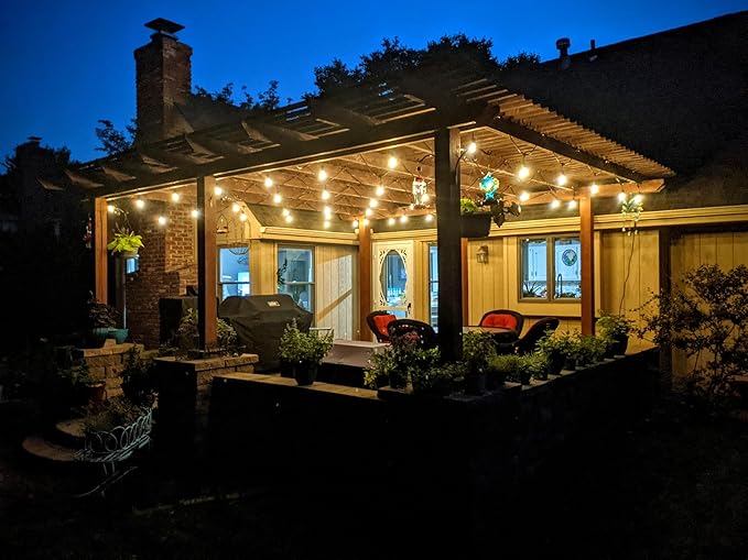 Brightech Bundle: Waterproof LED Outdoor String Lights Hanging, Dimmable 2W Vintage Edison Bulbs - 48 Ft + String | Lumora