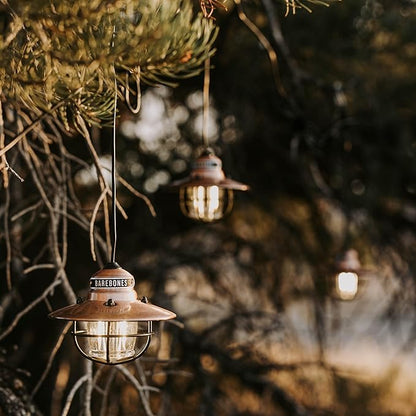 Barebones Edison Pendant String Lights - Copper, 3 Edison-Style LED Bulbs with 10-Foot Cord, Energy-Efficient Outdoor Lanterns for Patio, Garden, or Indoor Decor