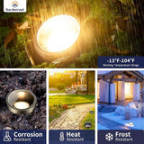 Gardenreet Brass Well Light - 12V Outdoor Ip65 In-Ground Landscape Lighting, LED Replaceable Bulb Waterproof Low | Lumora