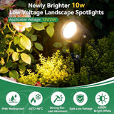 Low Voltage Landscape Spotlight, 12V LED Outdoor Spot Lights, Landscape Lighting Wired for Yard Path Garden Tree | Lumora