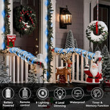 Jnaurb 2-Pack Battery Operated Rope Lights for Outside, Total 66FT 200LED 8 Modes Battery Operated String Lights | Lumora