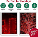 LAMPHOME Red Valentines Day Decor Lights,150 Count 31.9FT Mini Valentine's Lights,Red Christmas String Fairy Lights | Lumora