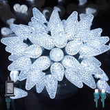 C9 LED Christmas Lights Outdoor, 81 Feet 100 LED String Lights With Timer & 8 Lighting Mode, Waterproof Commercial | Lumora