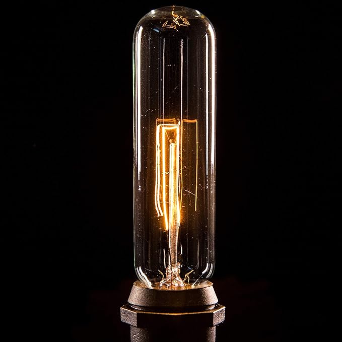 Hometown Evolution, Inc. Edison Bulb Outdoor String Lights with Hand-Threaded Filament (T25 Tube Edison - Black Wire, 10 ft)
