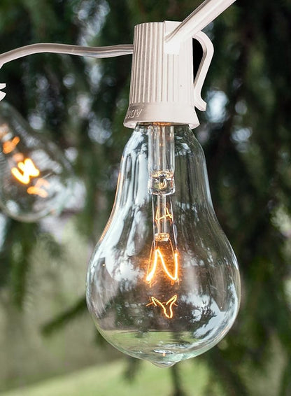 Hometown Evolution, Inc. Vintage Edison Outdoor String Lights (PS50 Clear - White Wire, 50 ft)