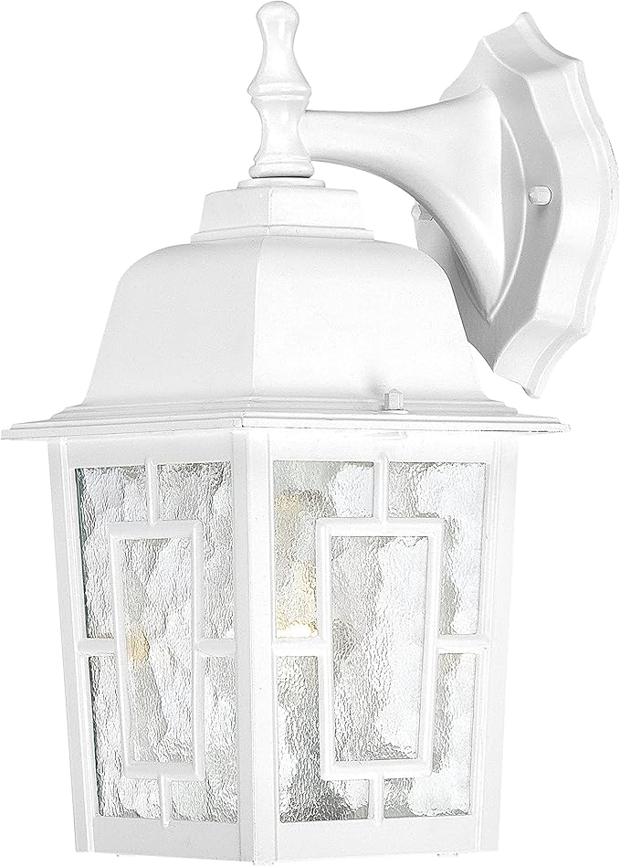 Nuvo Lighting 60/4921 Banyon One Light Wall Lantern/Arm Down 100 Watt A19 Max. Clear Water Glass White Outdoor | Lumora
