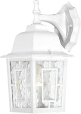 Nuvo Lighting 60/4921 Banyon One Light Wall Lantern/Arm Down 100 Watt A19 Max. Clear Water Glass White Outdoor | Lumora
