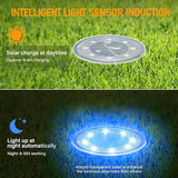 12 Packs Bright Solar Blue Lights and Solar Pathway Lights 10 Pack RGB Color Changing | Lumora