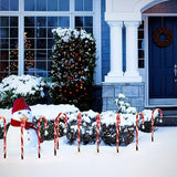 12 Packs Christmas Candy Cane Lights Outdoor Solar Powered Christmas Pathway Lights with Stars Waterproof for Yard | Lumora