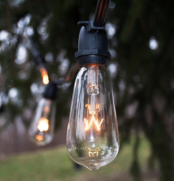 Hometown Evolution, Inc. Commercial Grade Vintage Edison Outdoor String Lights (ST40 Clear - Commercial White Wire | Lumora