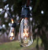 Hometown Evolution, Inc. Commercial Grade Vintage Edison Outdoor String Lights (ST40 Clear - Commercial Black Wire | Lumora